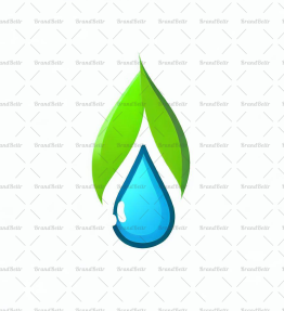 Wassertropfen und Blatt